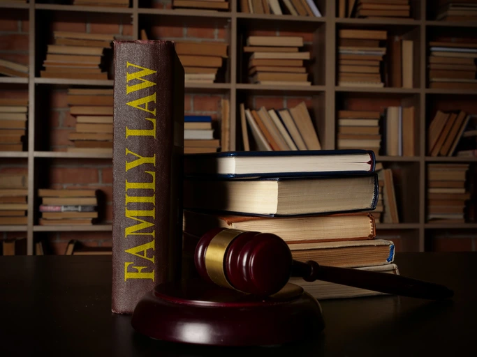 Beverly Hills Family Law in Context