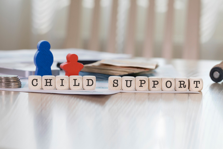 Child Support​