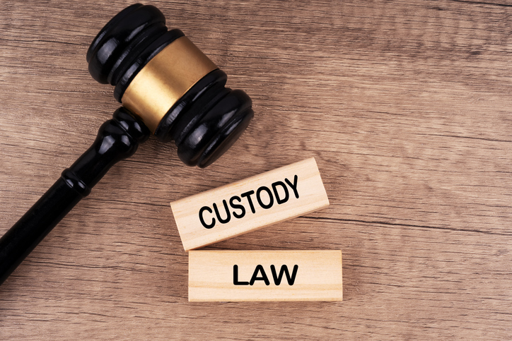Child Custody